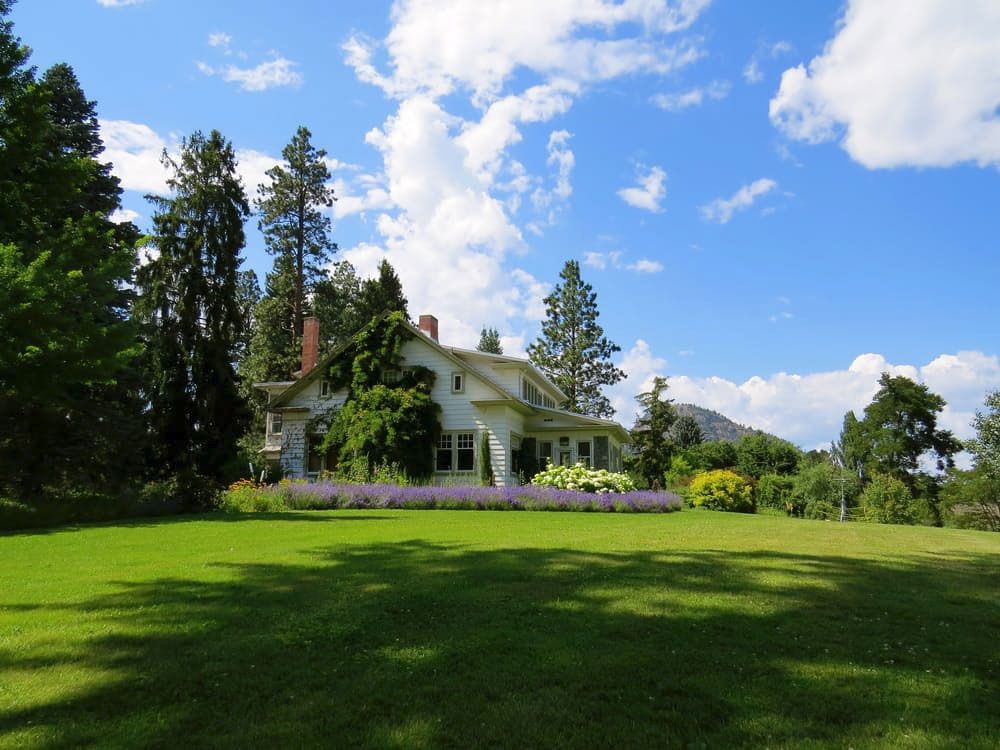 When to Call a Certified Arborist: Tree Hazard Signs, Pruning, and Storm Prep